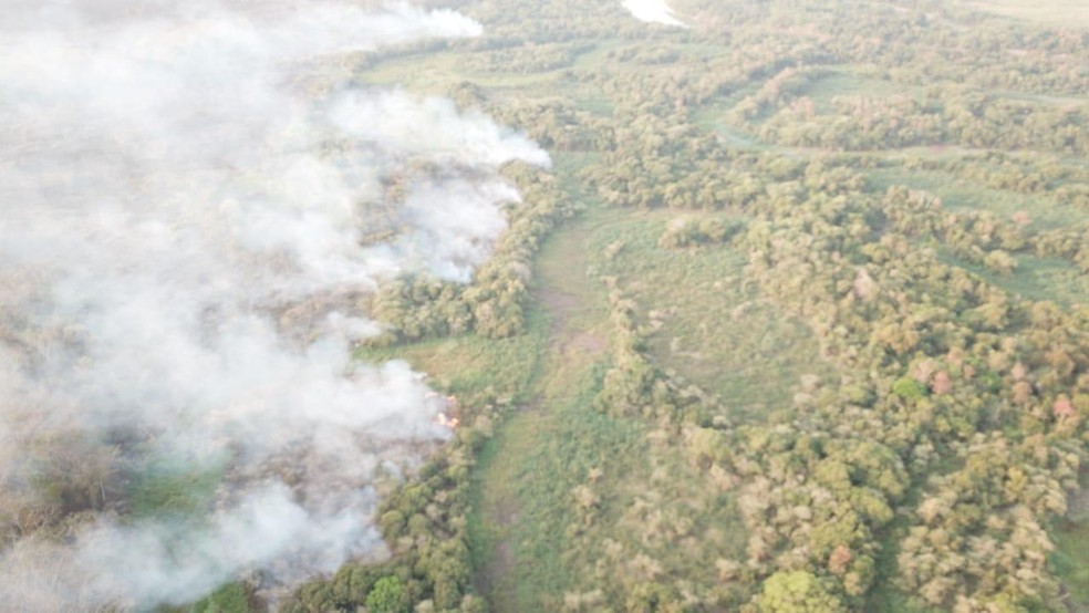 Áreas em chamas ficam entre Monte Castelo e São João do Pau D'Alho — Foto: Corpo de Bombeiros 