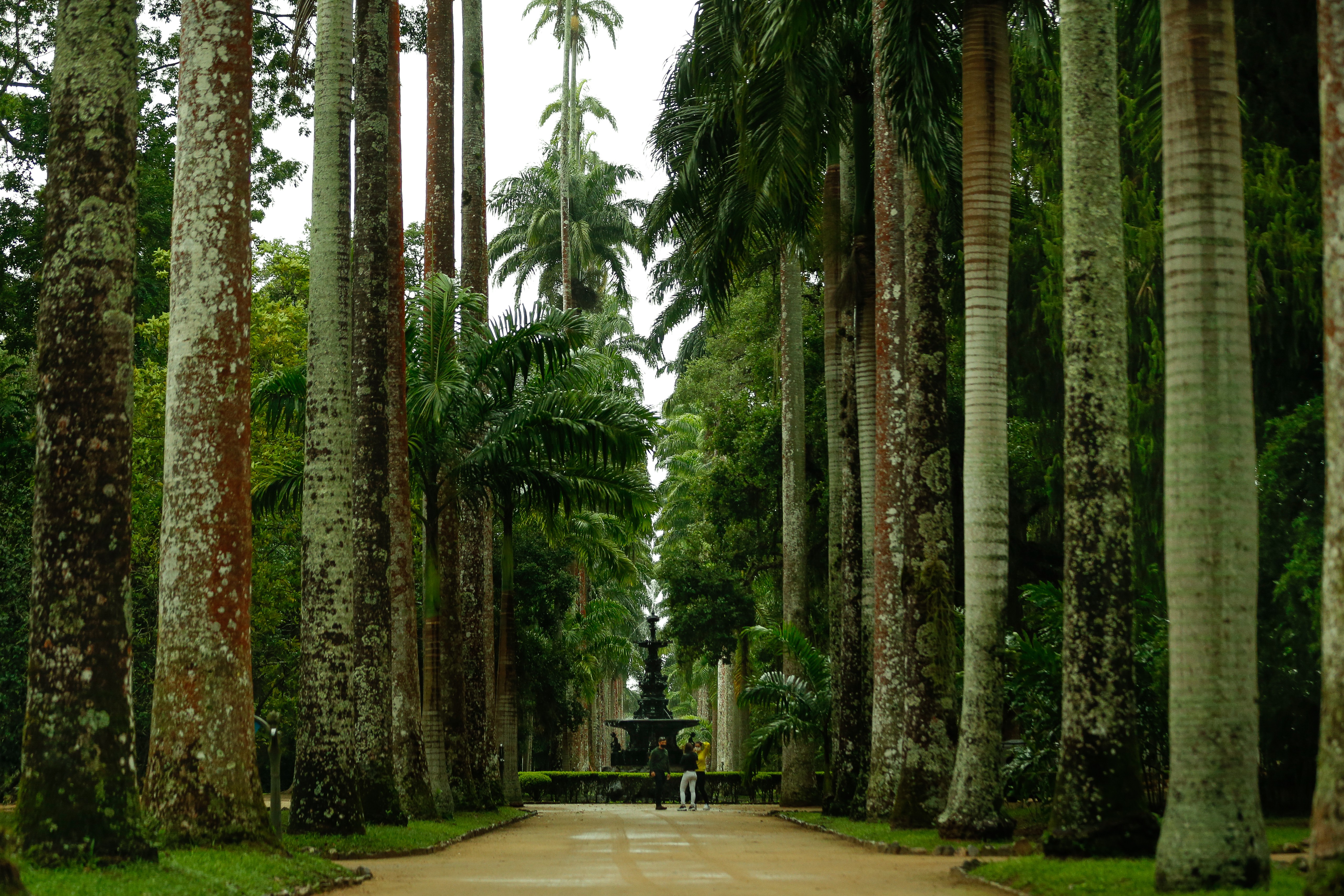 Congresso vai acontecer no Jardim Botânico, no Rio