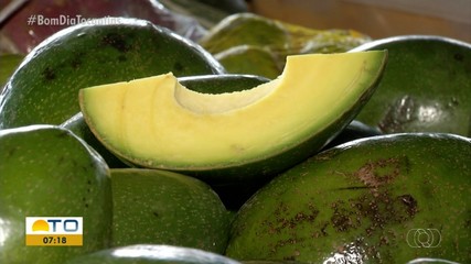 Gordura boa: abacate faz bem para a saúde e é fácil de encontrar na feira