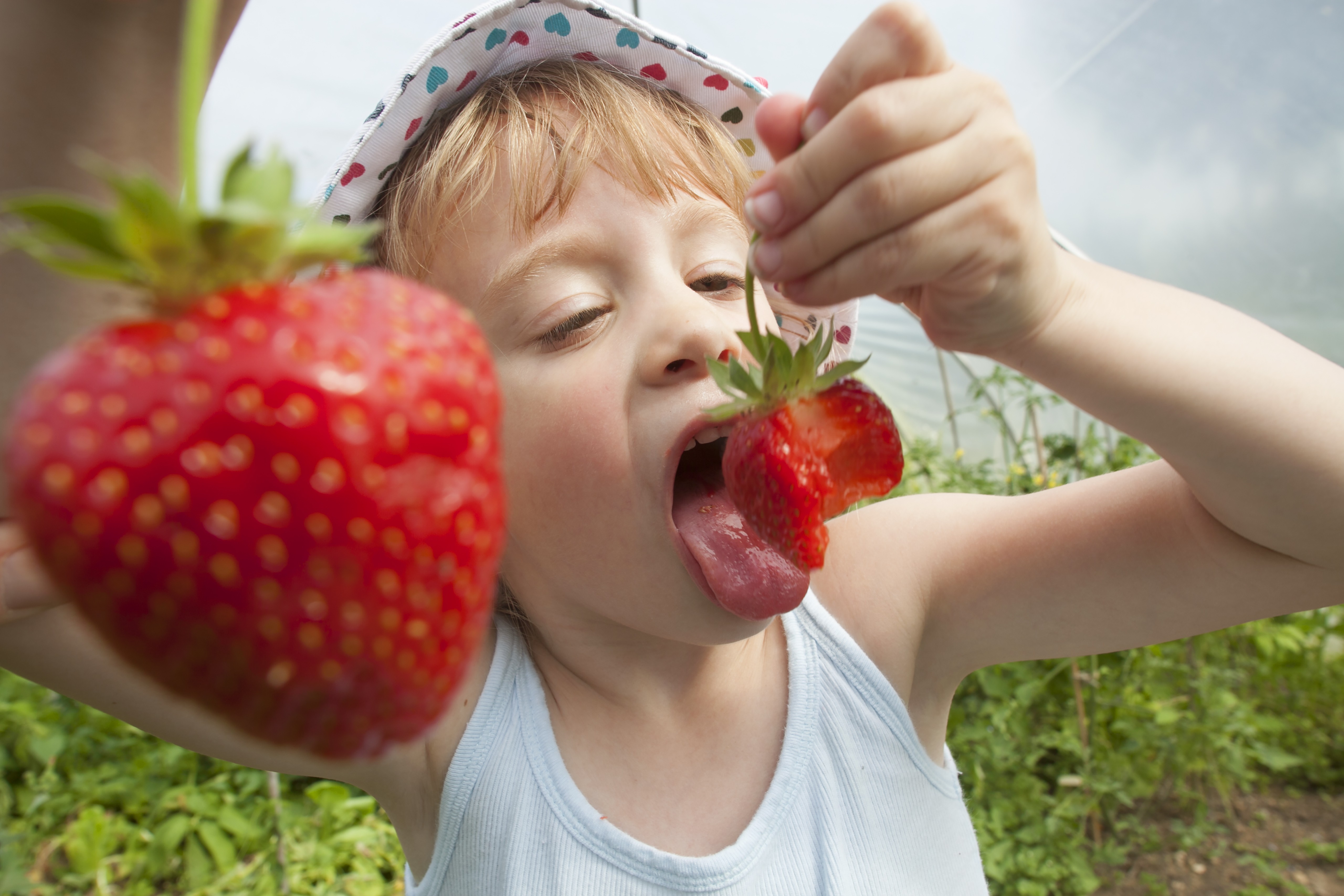 Alergia x intolerância alimentar: saiba as diferenças (Foto: Getty Images)