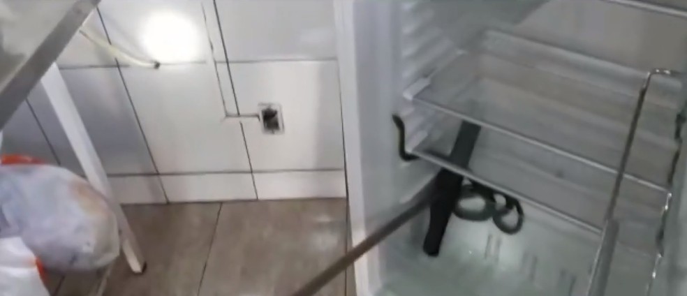 Moradora encontra cobra dentro de geladeira em chÃ¡cara de Ponta Grossa  â€” Foto: ReproduÃ§Ã£o/RPC