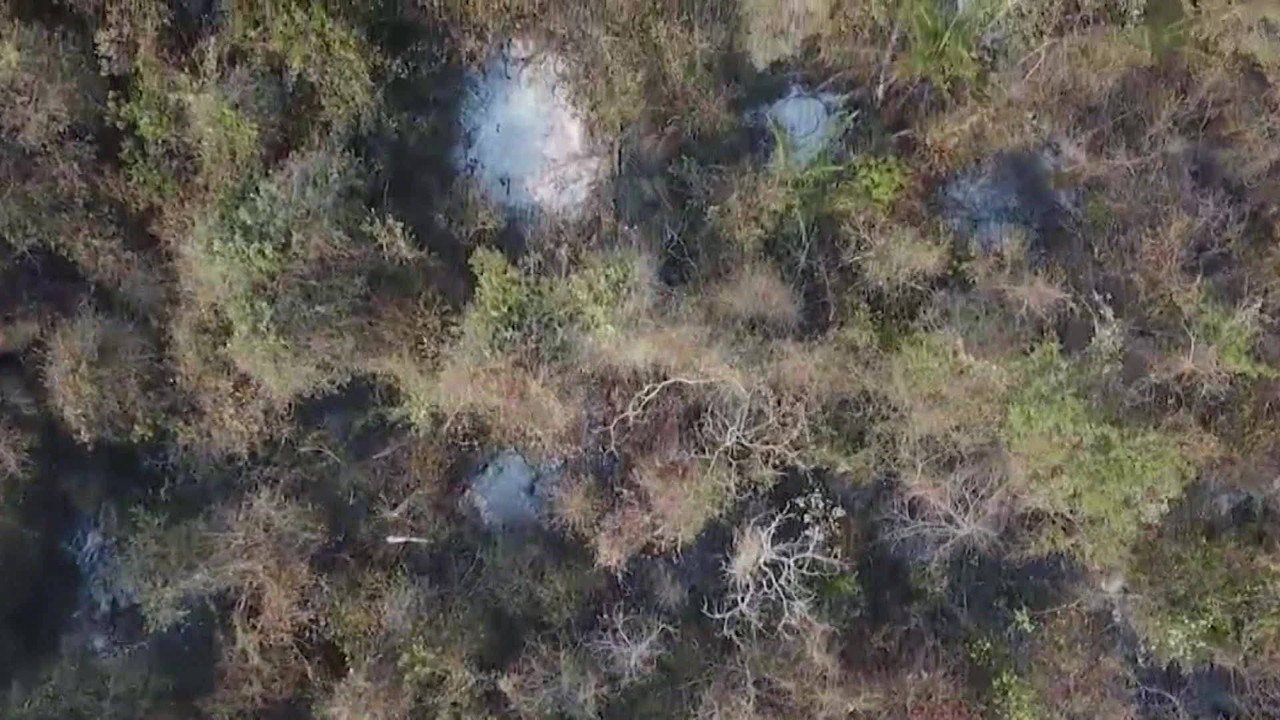 Análise: a falta de foco do governo no combate aos incêndios