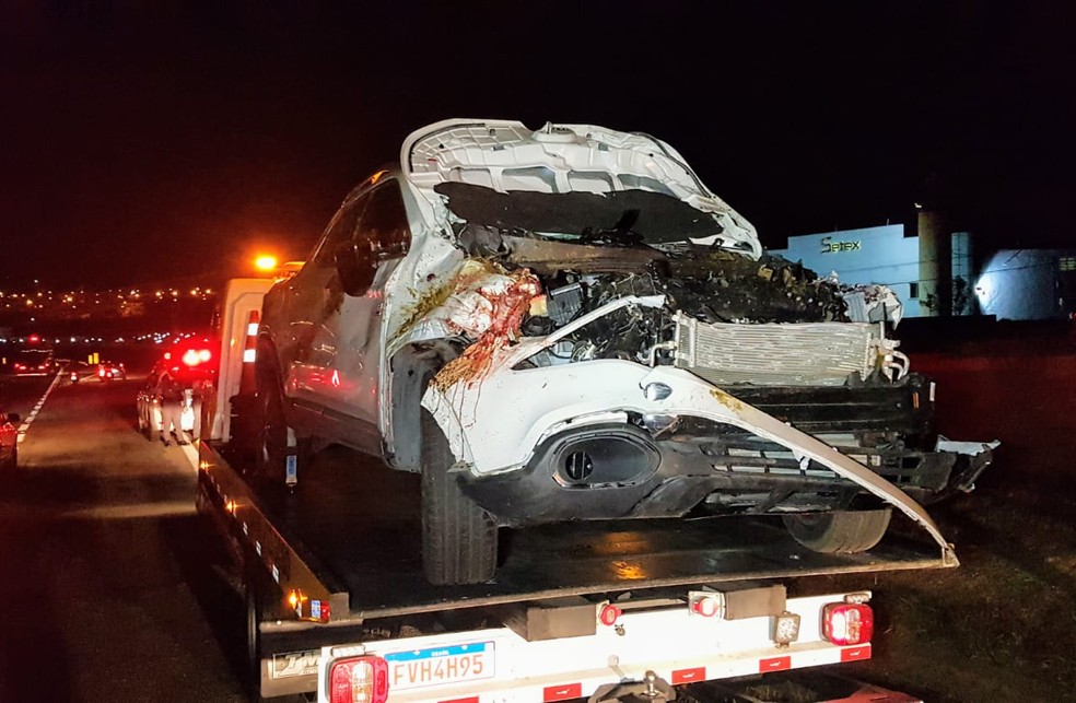 Dois gados que atravessavam a rodovia SP-75 morreram atropelados por uma caminhonete. — Foto: Divulgação/Jornal Taperá
