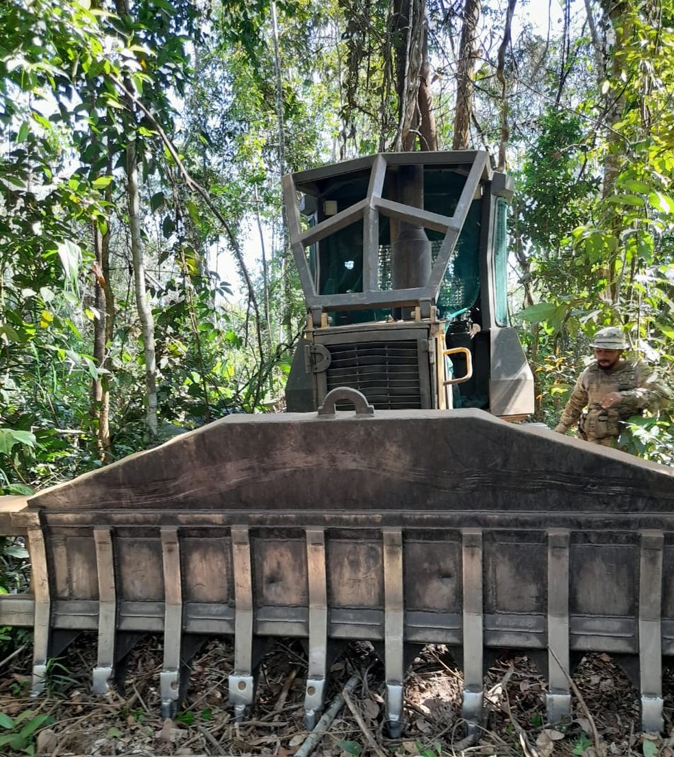 Operação contra desmatamento flagra atividade agrícola em área embargada em Marcelândia — Foto: PJC/MT