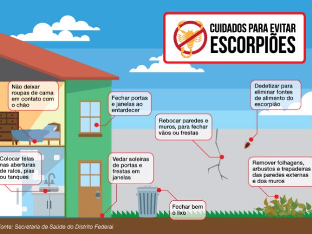 Cuidados para evitar escorpiões (Foto: Edição de Arte/Agência Brasília)