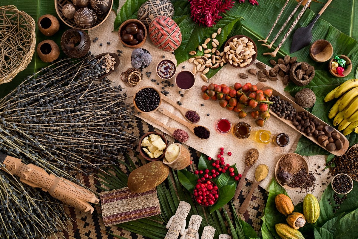 Dê Exemplo De Produtos De Importância Econômica Extraídos Da Amazônia