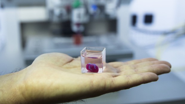 Israel cria primeiro coração feito por impressora 3D a partir de células de paciente (Foto: Amir Levy/Getty Images)
