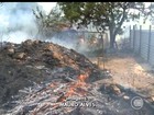 Incêndio atinge terreno baldio e Bombeiros controlaram o fogo