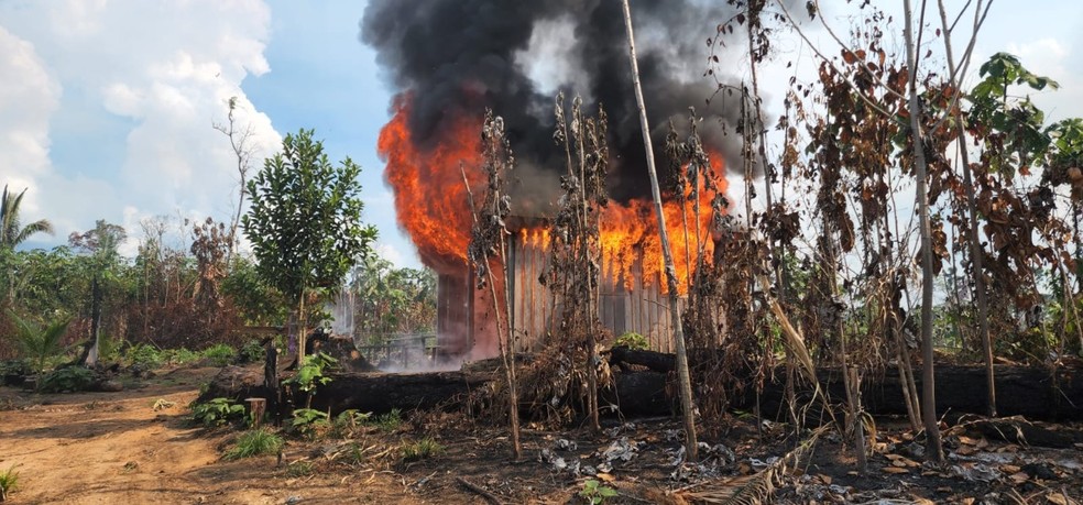 Operação Tamoiotatá II - barracão usado para desmatamento ilegal é destruído, no Amazonas — Foto: Ipaam