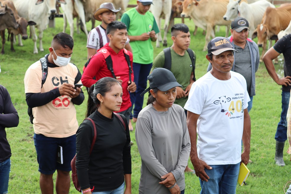 Participaram da capacitação indígenas de 27 comunidades das Terras Indígenas Raposa Serra do Sol e São Marcos — Foto: Projeto Bem Viver/Divulgação