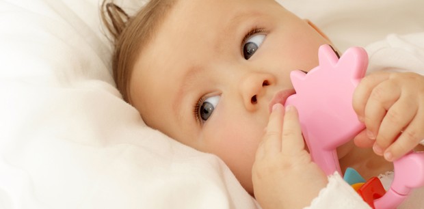 Bebê mordendo brinquedo (Foto: Shutterstock)