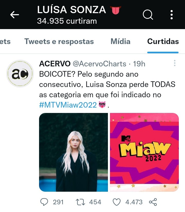 Luísa Sonza curtiu tweet que dizia que ela foi boicotada em premiação (Foto: Reprodução/Instagram)
