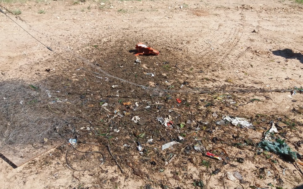 Plástico capturado em redes no Rio Tietê para pesquisa sobre ingestão de plásticos por peixes de água doce. — Foto: Arquivo Pessoal