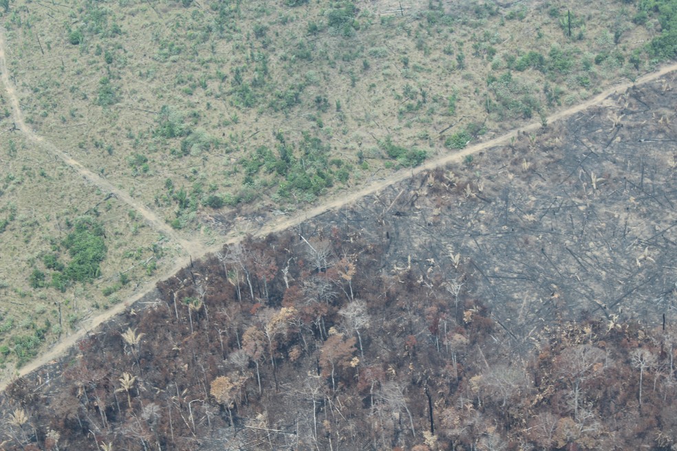 Sul do Amazonas é onde mais tem derrubada e queimadas, diz Inpe — Foto: Jonatas Boni/G1