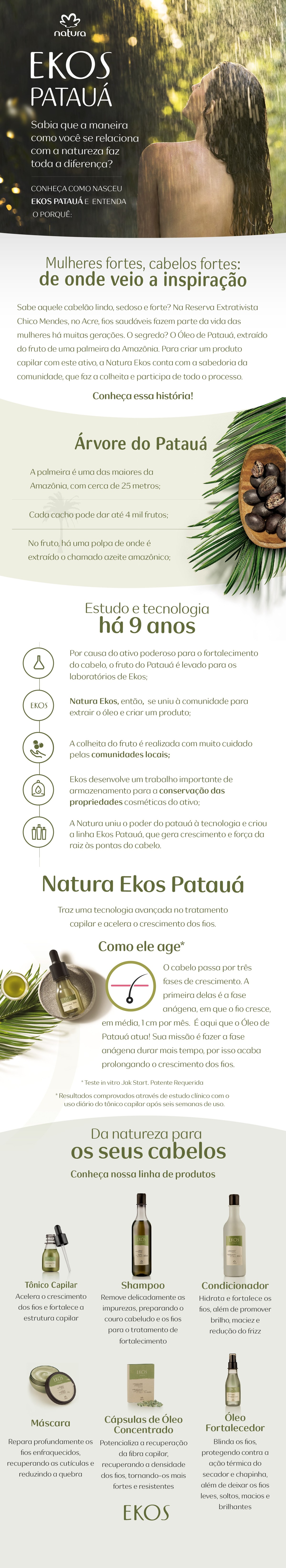 Conheça o Óleo de Patauá, o azeite amazônico que faz o cabelo crescer |  Natura | G1