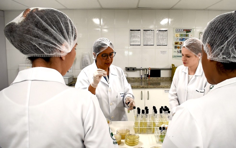 Rosana e as pesquisadoras Milene, Tamires e Jacqueline durante análise de amostras de saladas em estudo desenvolvido em Campinas (Foto: Patrícia Teixeira/G1)