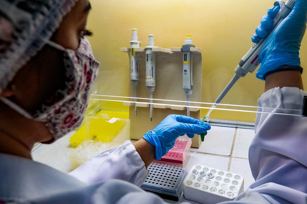 Pesquisadora trabalha na UFSC em projeto de sequenciamento de genes do novo coronavírus  — Foto: Maurício Vieira/Secom/Divulgação