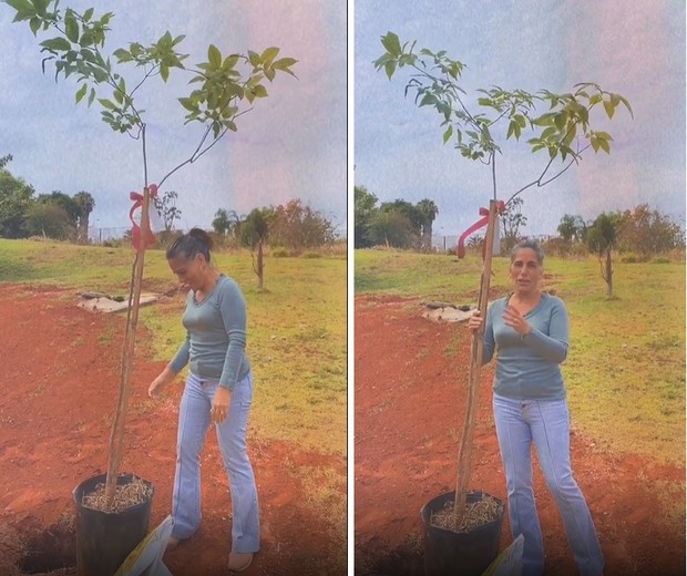 Gloria Pires planta ipê (Foto: Reprodução/Instagram)