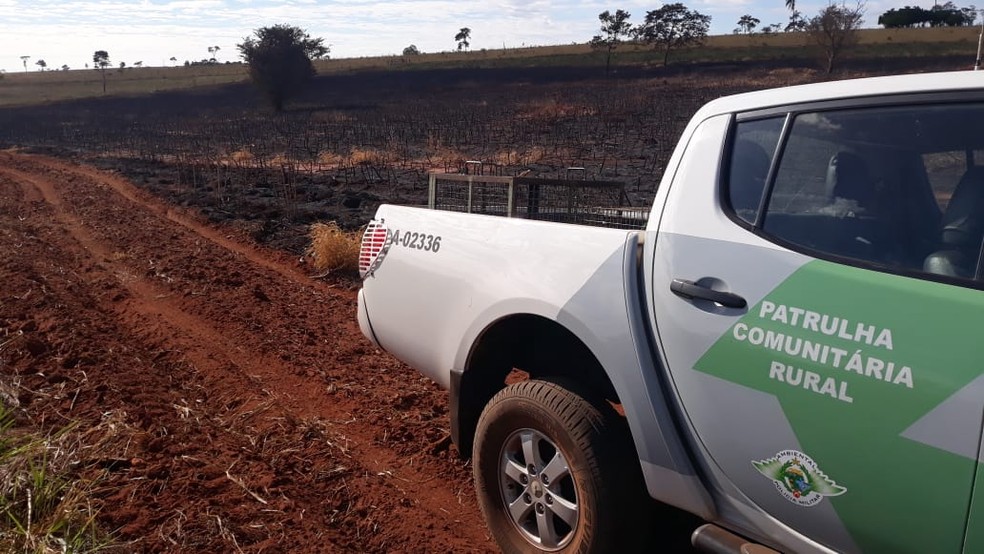 Polícia Ambiental constatou queimada sem autorização em uma plantação de mandioca — Foto: Polícia Ambiental