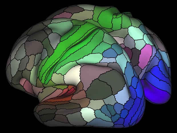 Estudo identificou 97 novas áreas do córtex, além de confirmar 83 que já haviam sido detectadas (Foto: Matthew Glasser, Ph.D., and David Van Essen, Ph.D., Washington University)