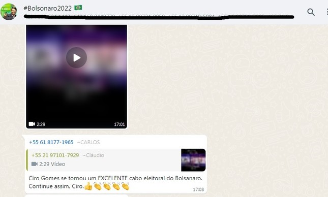 Print de grupo bolsonarista