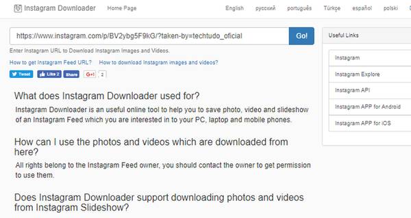 Instagram Downloader Web | Software | TechTudo
