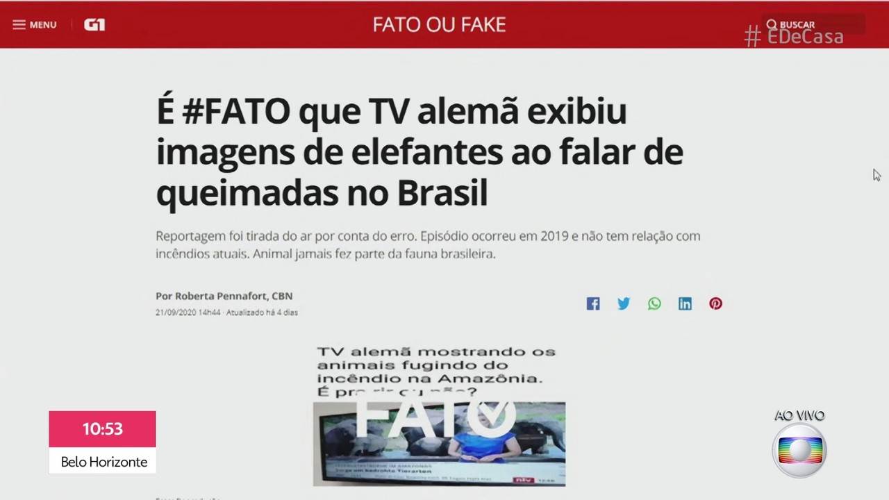 G1 no É de Casa: É #Fato que TV alemã usou imagens de elefante ao falar do Brasil