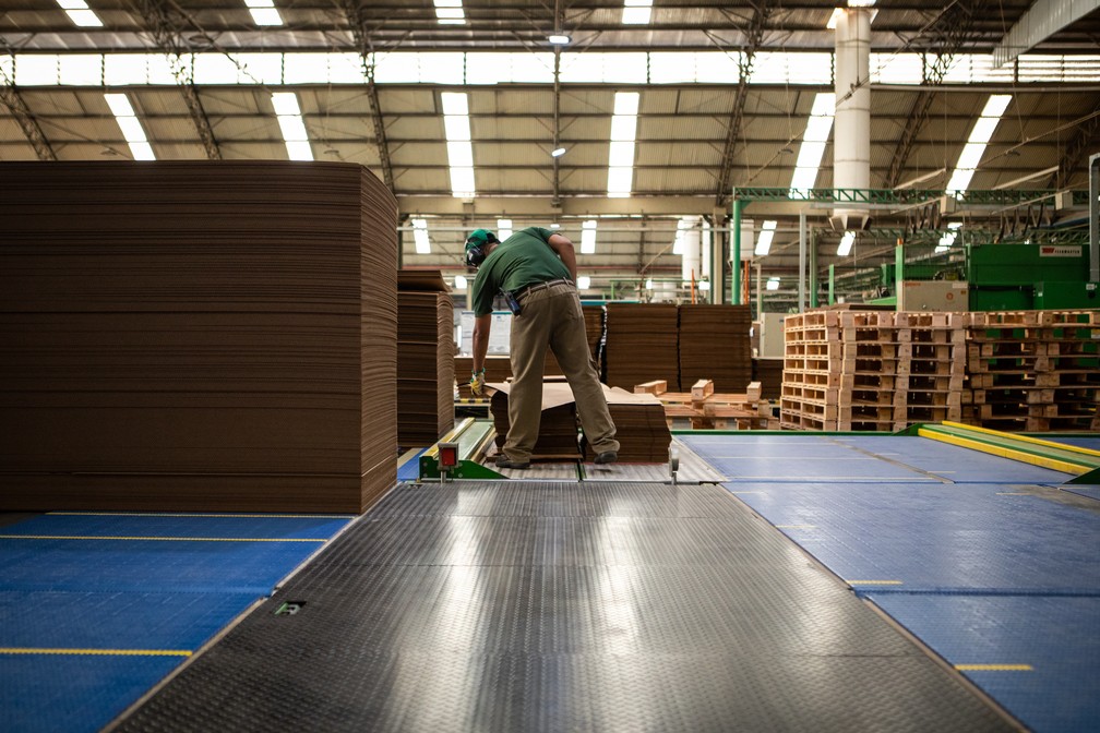 PIB da ind�stria cresceu 0,7% no 2� trimestre; f�brica de papel�o ondulado para embalagens no interior de S�o Paulo � Foto: Fabio Tito/G1