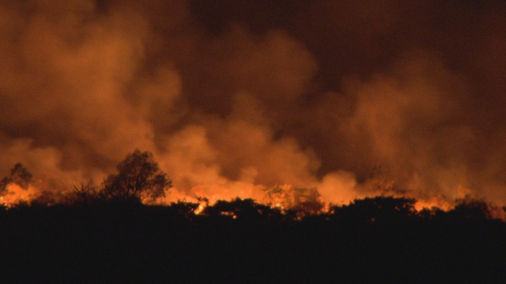 Incêndio atinge Parque Nacional de Brasília desde a manhã desta segunda-feira (5) — Foto: TV Globo/Reprodução