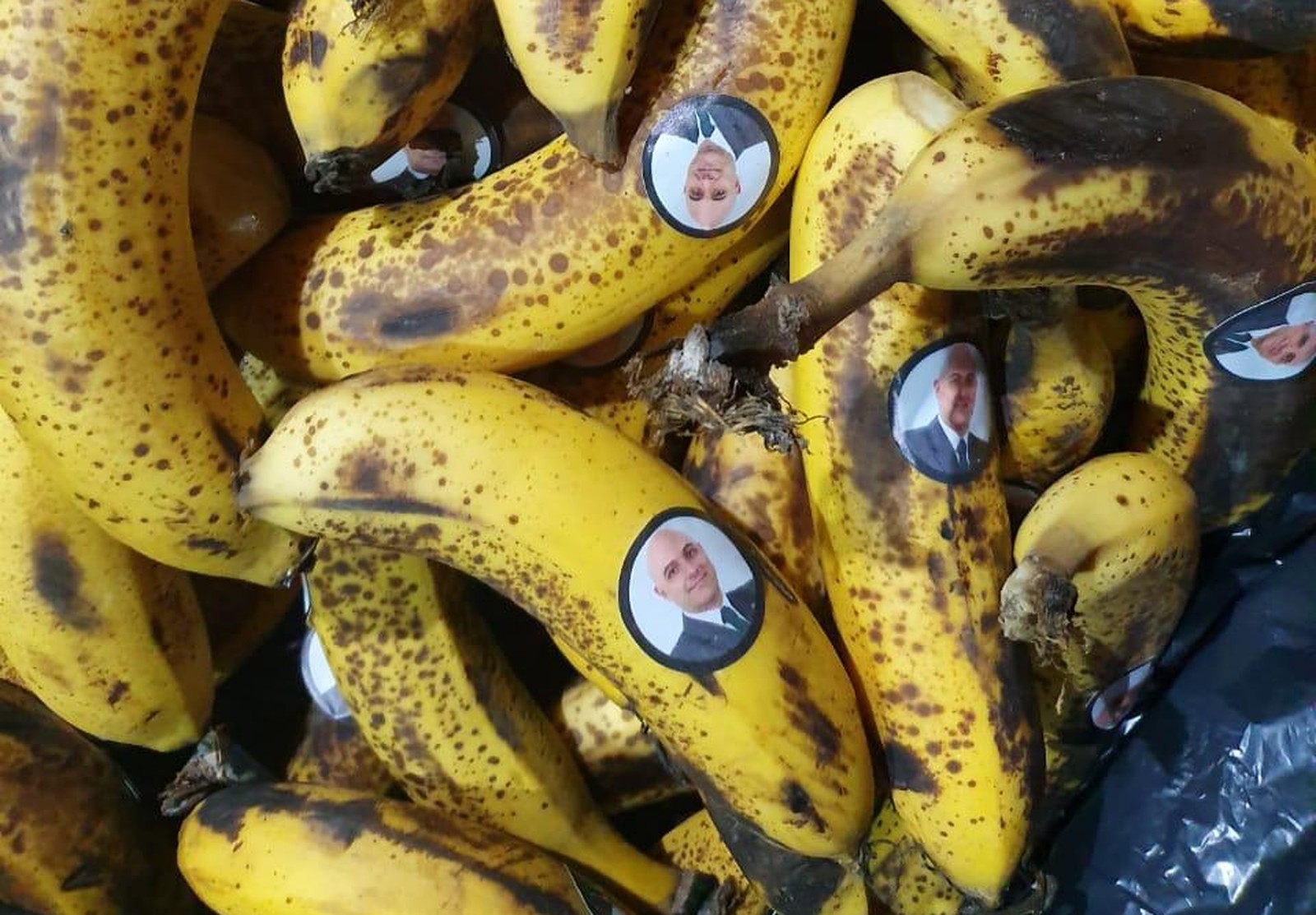 Organizada coloca bananas em frente à empresa de Galiotte e declara 