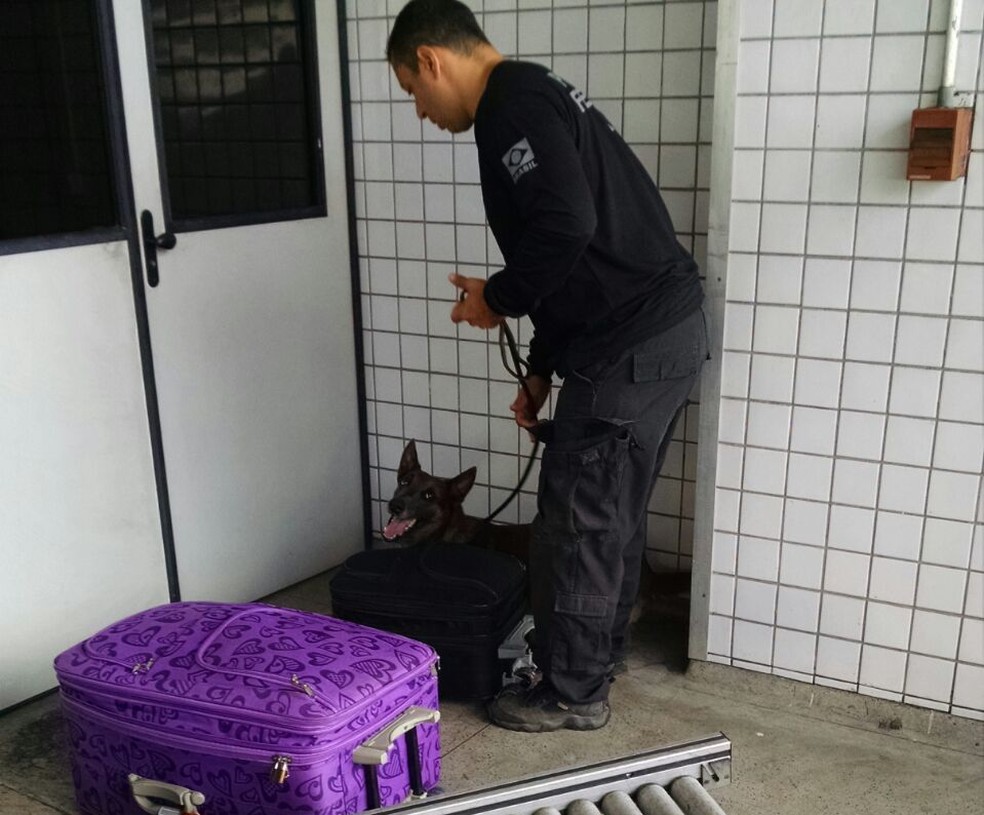 Duas pessoas foram presas com auxílio do cachorro.  (Foto: Divulgação/Polícia Federal)