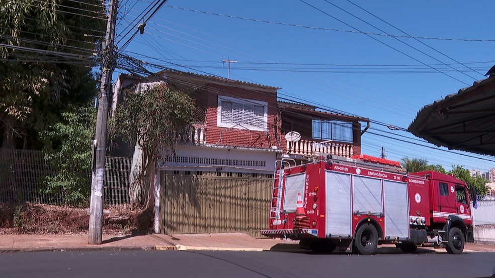 Bombeiros foram acionados após árvore atingir casas no Jardim Mosteiro em Ribeirão Preto, SP — Foto: Reprodução/EPTV