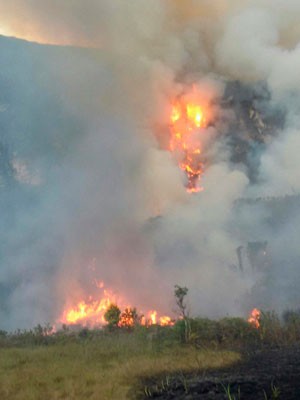 Registro do incêndio na região de Ibicoara na segunda-feira (4) (Foto: Assessoria de Comunicação dos Bombeiros Militar)