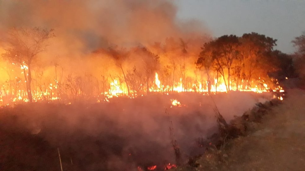 Brigadistas estão combatendo chamas há sete dias  — Foto: Secretaria de Meio Ambiente/ Prefeitura de Peixe