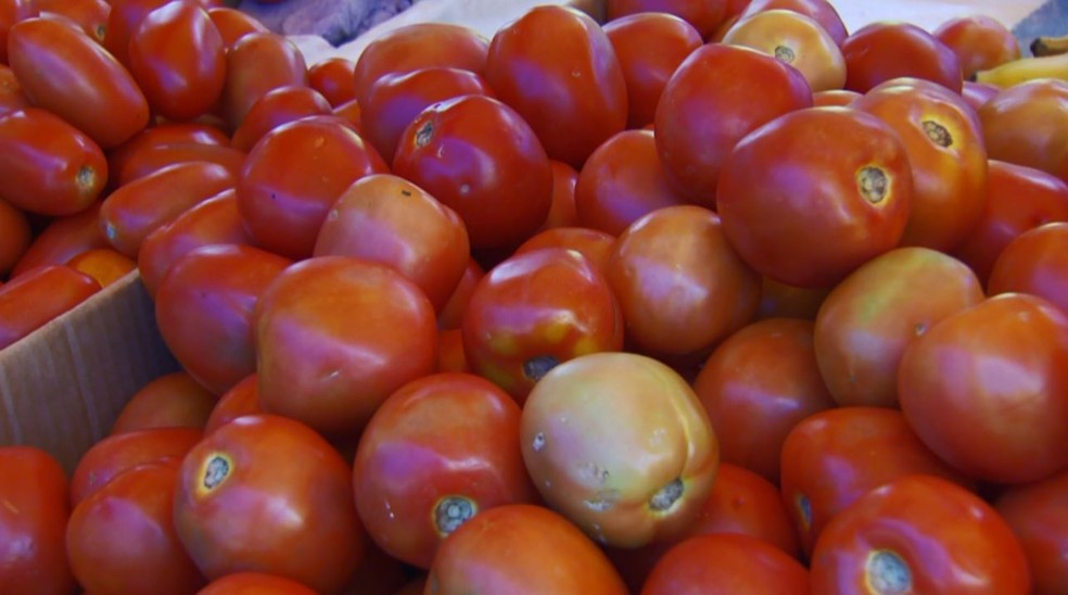 Preço do tomate ajudou a segurar a inflação de agosto, segundo o IBGE — Foto: Reprodução/EPTV