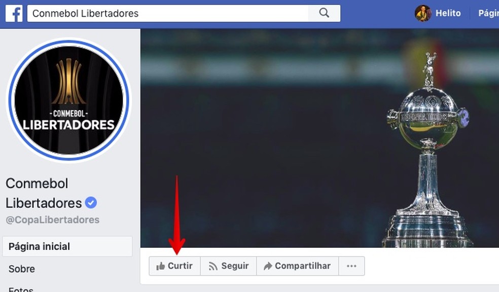 Curta a página da Libertadores no Facebook — Foto: Reprodução/Helito Beggiora