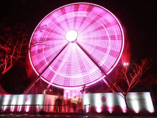 Roda-gigante cor de rosa é vista no Parque do Ibirapuera, zona sul de São Paulo  (Foto: Vanessa Carvalho/Brazil Photo Press/Estadão Conteúdo)