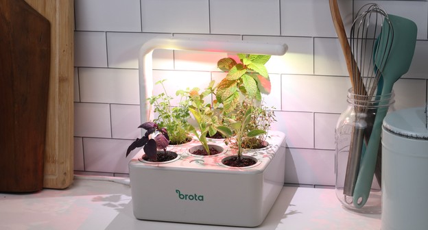 Atualmente, a startup comercializa duas versões da horta: com e sem iluminação