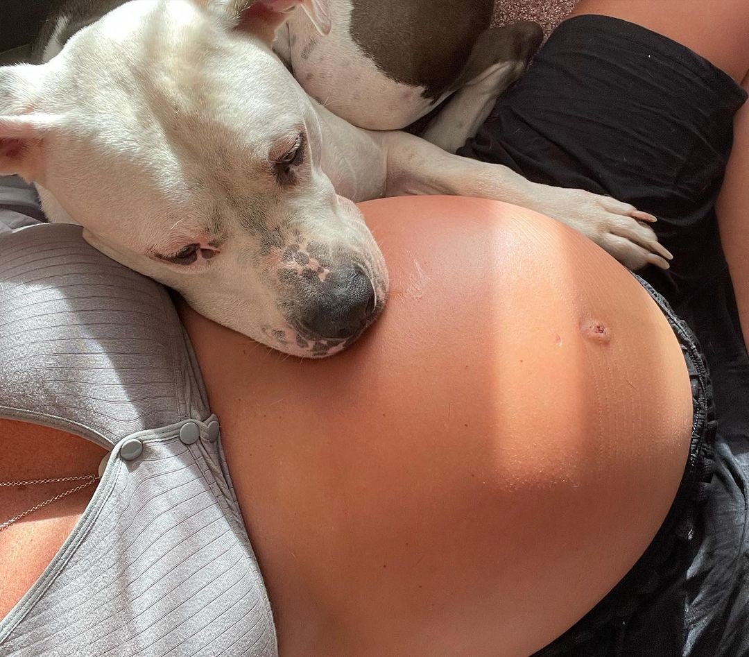 Fabíula Nascimento ganha carinho de pet (Foto: Reprodução/Instagram)