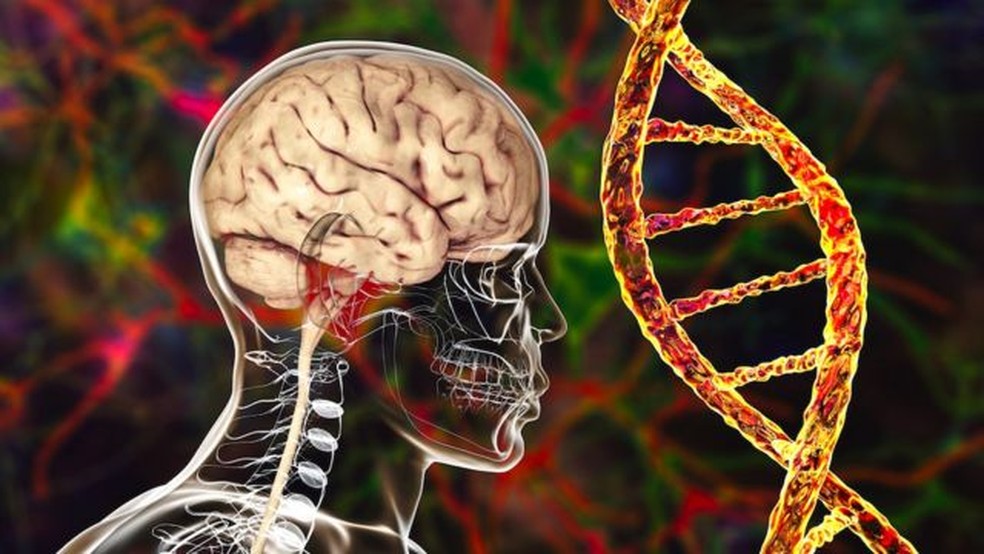 Estudos sobre a influência dos genes no risco de Alzheimer fizeram novos avanços em 2022 — Foto: GETTY IMAGES/BBC