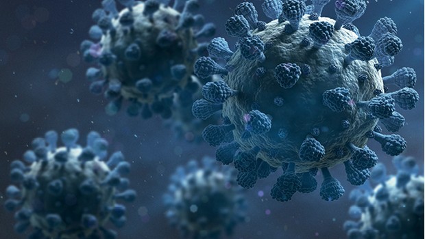 Dos 60 estudos já realizados ou em execução pelo instituto SVRI, 14 são dedicados ao combate ao coronavírus (Foto: Getty Images)