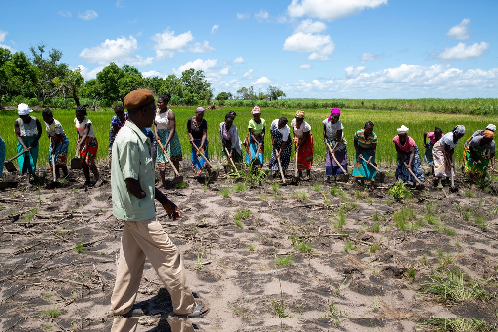 Líder comunitário instrui as mulheres a limparem terras para plantar arroz em terras comunais em Dondo, Moçambique. Foto do dia 27 de fevereiro de 2020  — Foto: Karel Prinsloo/UNCDF Mozambique via AP