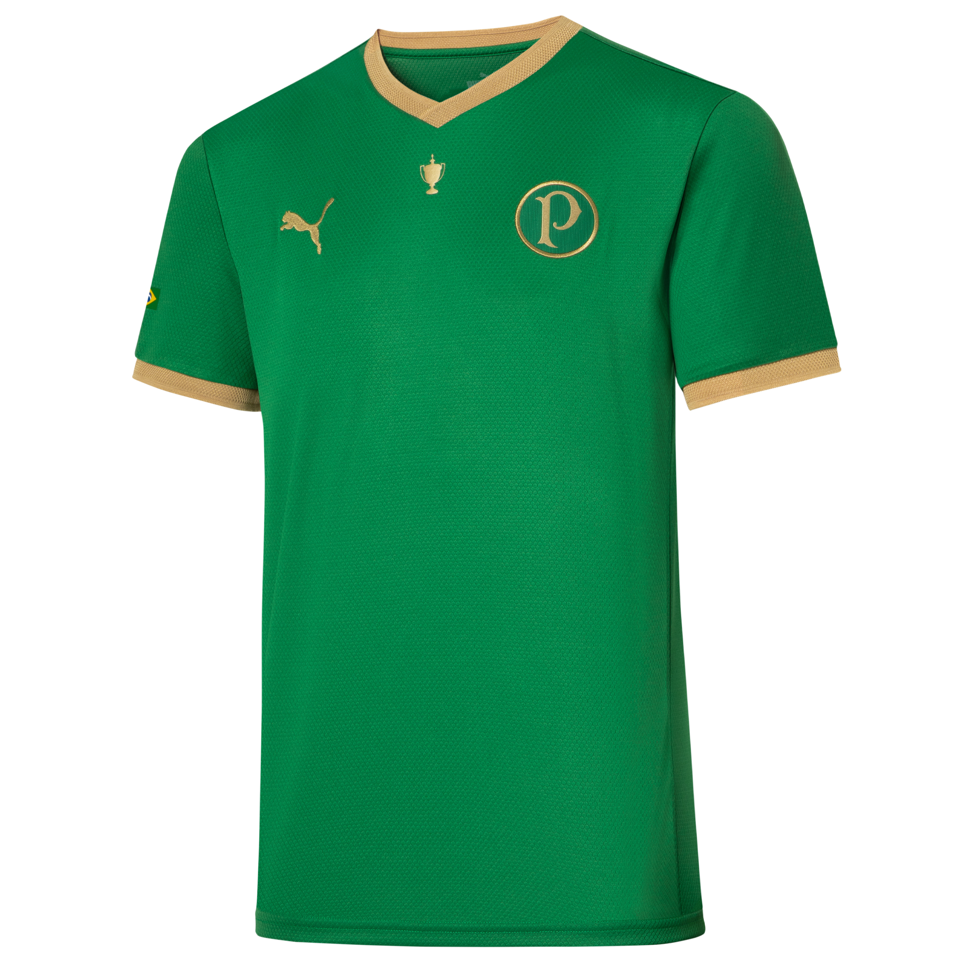 Palmeiras apresenta camisa comemorativa aos 70 anos da conquista do Mundial  Interclubes - GQ