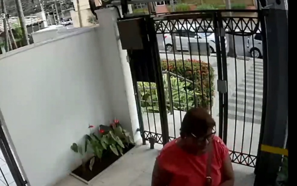 Rosimeire foi flagrada por câmeras enquanto deixou apartamento levando joias — Foto: Repropdução/TV Anhanguera