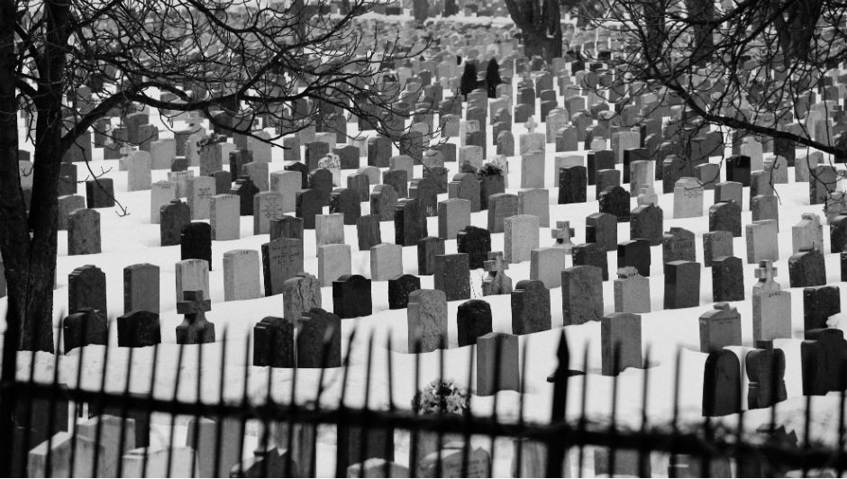 Aplicativo aponta cemitérios mais próximos e seus preços (Foto: Pexels)