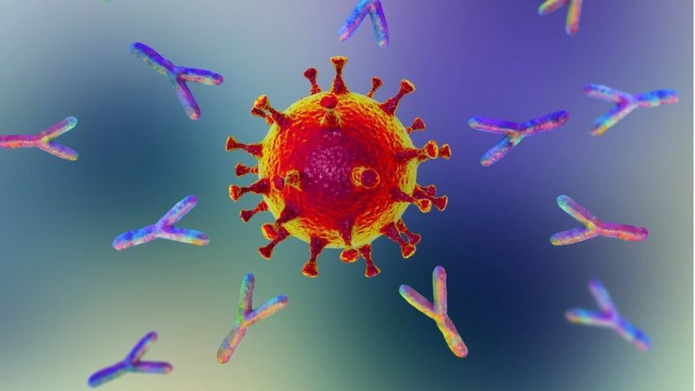 Autoanticorpos atacam várias vias do sistema imunológico, de acordo com pesquisadores de Yale — Foto: Getty Images/BBC