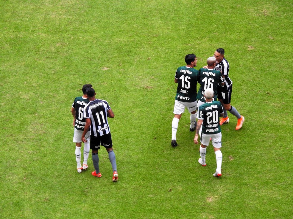 Botafogo x Palmeiras foi disputado no Ãºltimo sÃ¡bado no ManÃ© Garrincha â Foto: Tossiro Neto/GloboEsporte.com