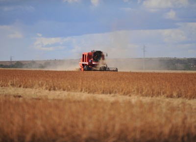 agricultura_soja (Foto: Ernesto de Souza/Ed. Globo)