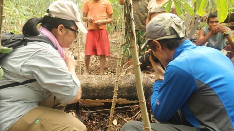 Pesquisador japonês de cogumelos fez parte de projeto que catalogava conhecimento botânico e gastronômico dos indígenas (Foto: Arquivo Noemia Ishikawa)