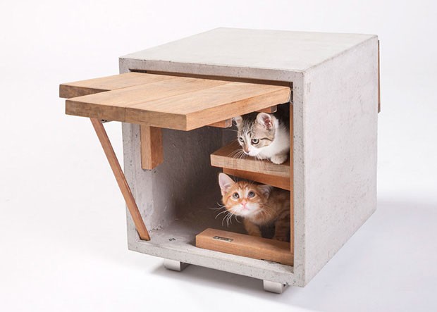 Casas de gatos com design (Foto: Grey Crawford / Divulgação)
